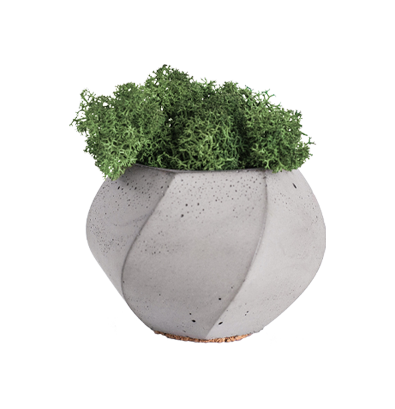 Plants & Planters3